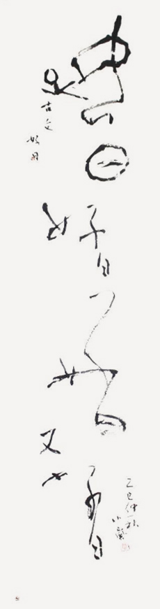 理事 澁谷 小嵐